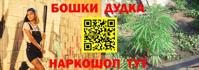 прущие грибы Моздок