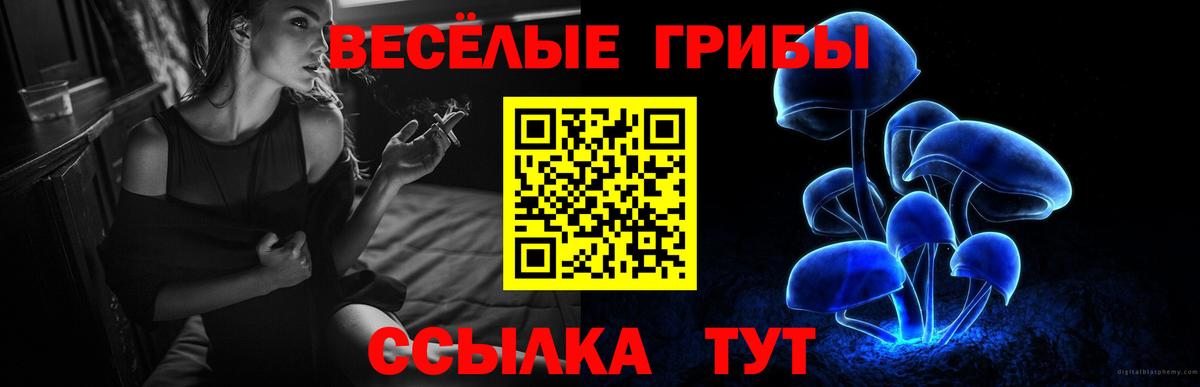 Ульяновск  Галлюциногенные грибы ЛСД  Вход с VPN  Псилоцибиновые грибы мухоморы 